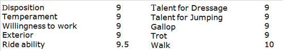 rapport_eng