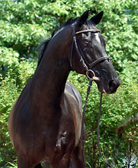 kostolinks