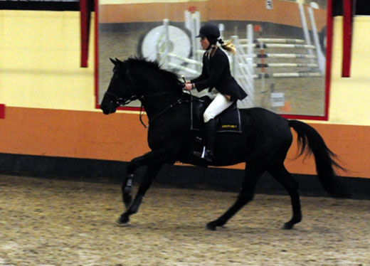 blokikgalop