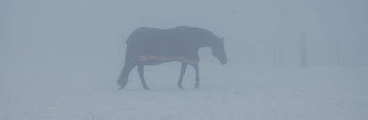 mist88