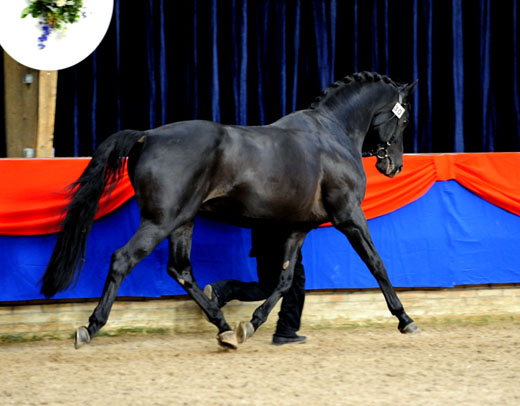 nrps_draf