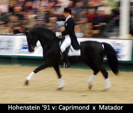 hohenstein