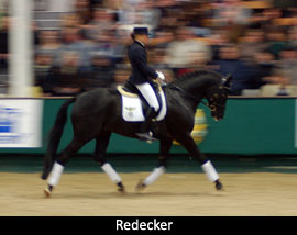 reddie