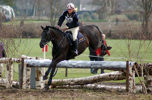 ikeetten