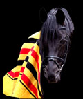 kaskopzwartklein