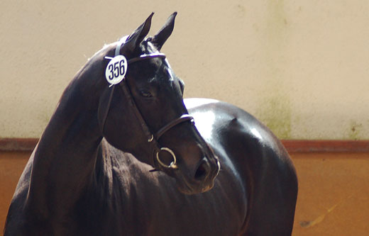 flicka_2721_2