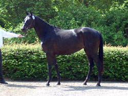 flicka_2769_2