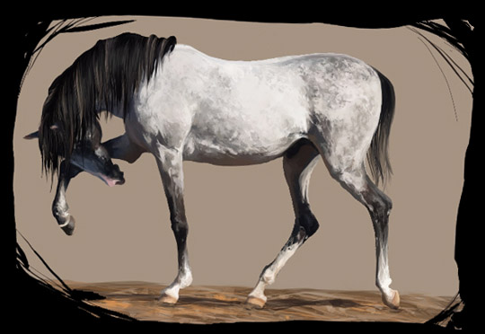 grey_horse